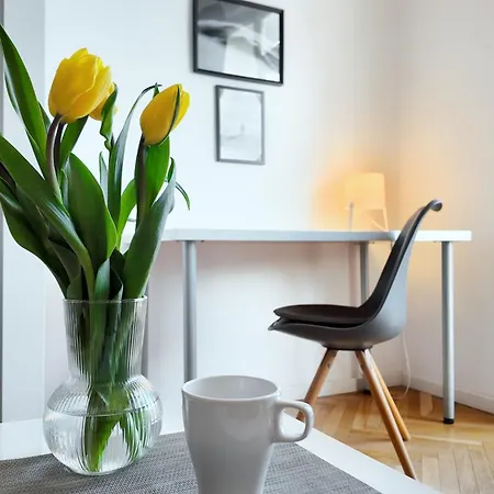 Bright Plac Muzealny In Perfect For Remote Work By Renters فروتسواف